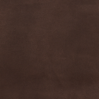 Swatch image for 542 Brown